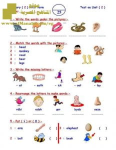 امتحانات كونكت ثاني ابتدائي