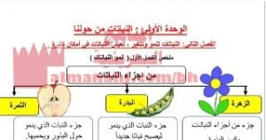 شرح درس النباتات تنمو وتتغيير، تعيش النباتات في أماكن كثيرة