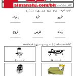 نشاط تدريبي لتجريد حرف الراء (لغة عربية) الأول