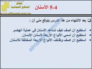 ملخص شرح درس الأسنان مع حل الأنشطة (علوم) الثامن