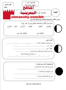 أنشطة تدريبية