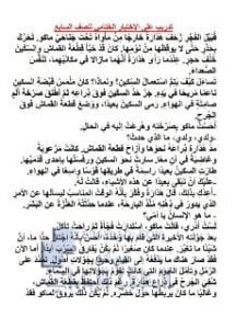 تدريب على الاختبار النهائي من رواية الولد الذي عاش مع النعام, (لغة عربية) السابع