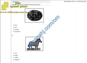 أنشطة واختبارات تقييمية مع الإجابات (لغة انجليزية) الأول