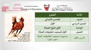 عرض بوربوينت مستويات التصنيف في الكائنات الحية (الجزء الأوّل)