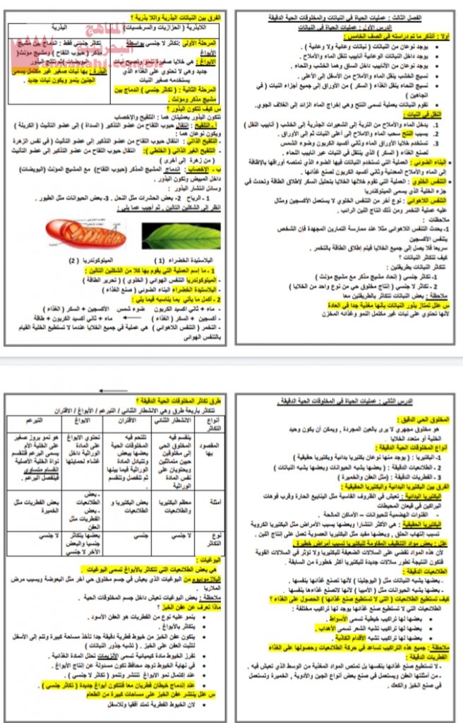 ملخص للنهائي (علوم) السادس