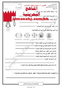 ورقة عمل انقسام الخلية – المتساوي (علوم) التاسع