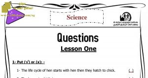 مراجعة شاملة