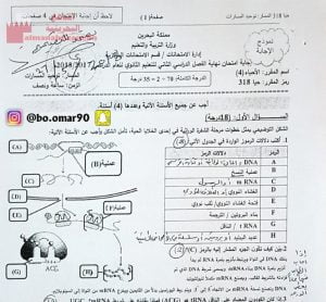 نموذج إجابة مقرر حيا 318 (علوم) مرحلة ثانوية