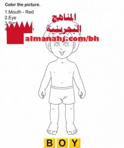 ورقة تدريب لأعضاء جسم الإنسان (لغة انجليزية) الثاني