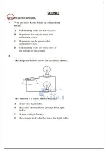 أوراق عمل شاملة باللغة الإنجليزية, (علوم) السادس