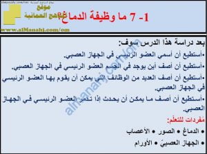 ملخص شرح درس ما وظيفة الدماغ مع حل الأنشطة (علوم) السادس