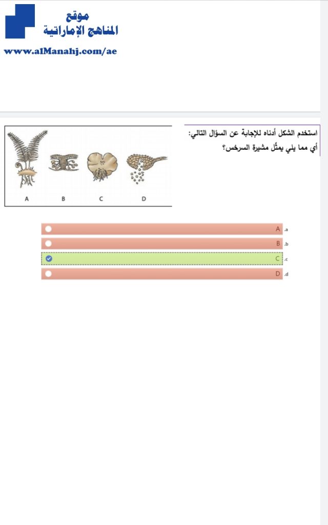 أسئلة الاختبار المركزي الثاني 2 مع الحل, (علوم) الحادي عشر المتقدم