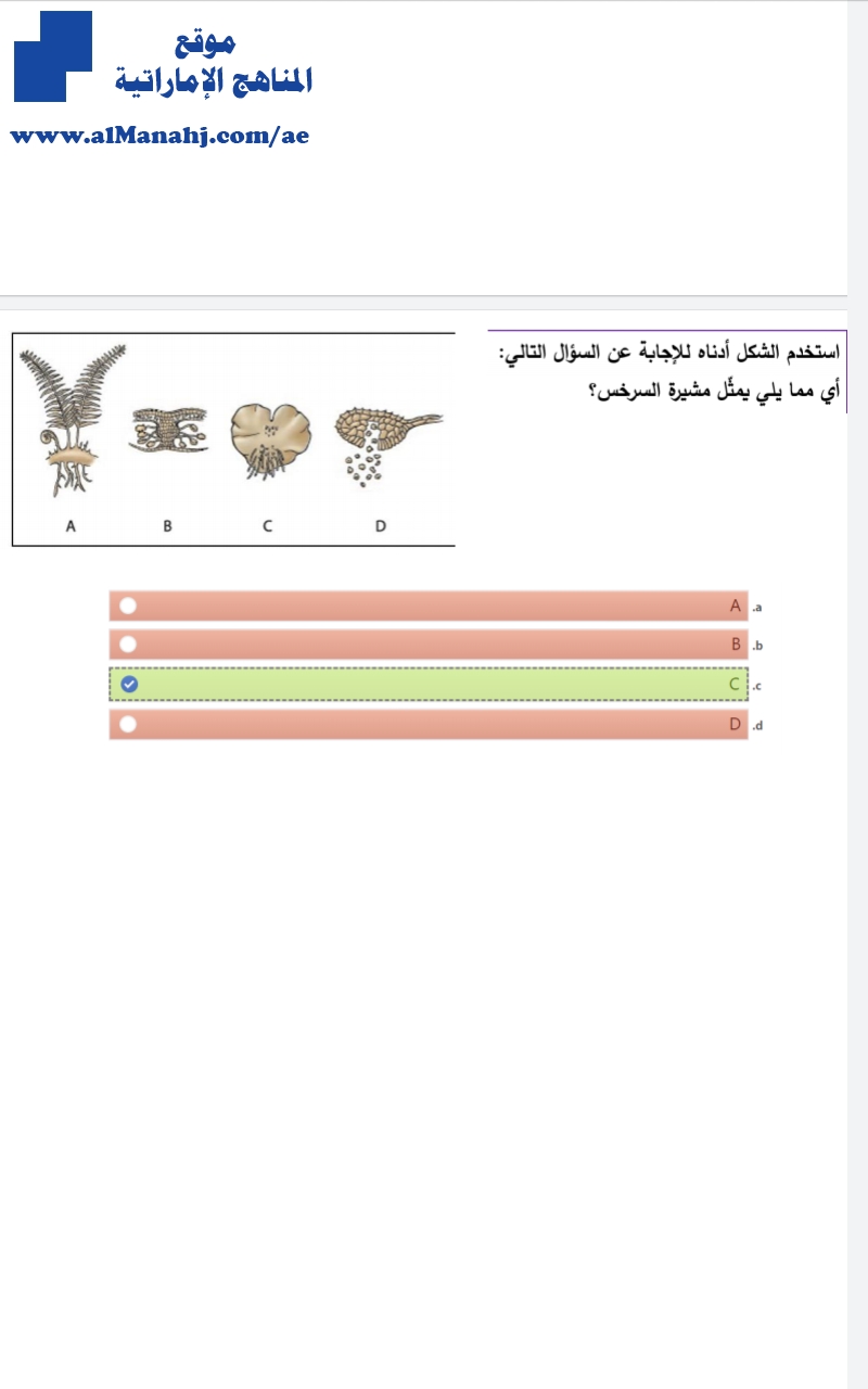 أسئلة الاختبار المركزي الثاني 2 مع الحل, (علوم) الحادي عشر المتقدم