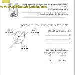 تحميل اختبار قصير نموذج ج (علوم) الثامن