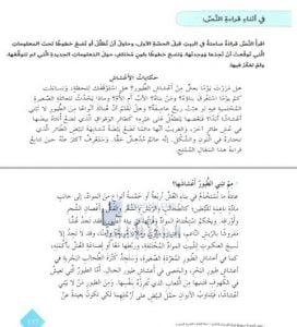 حل درس (حكايات الأعشاش), (لغة عربية) السابع