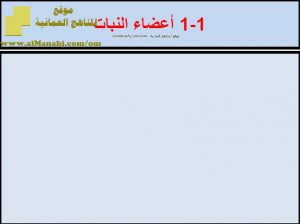 ملخص عن درس أعضاء النبات (علوم) السابع