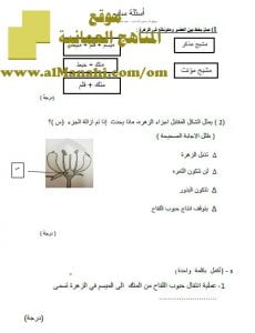 اختبار قصير نموذج 7 (علوم) السابع