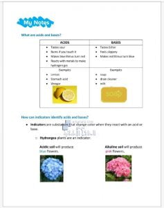 ملخص الأحماض والقواعد ACIDS AND BASES, منهج انجليزي (علوم) الخامس