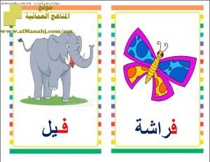 كراسة حرف ف (لغة عربية) الأول
