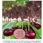 مذكرة علوم مهمة للوحدة الخامسة المحاليل الحمضية والقاعدية, (علوم) السادس