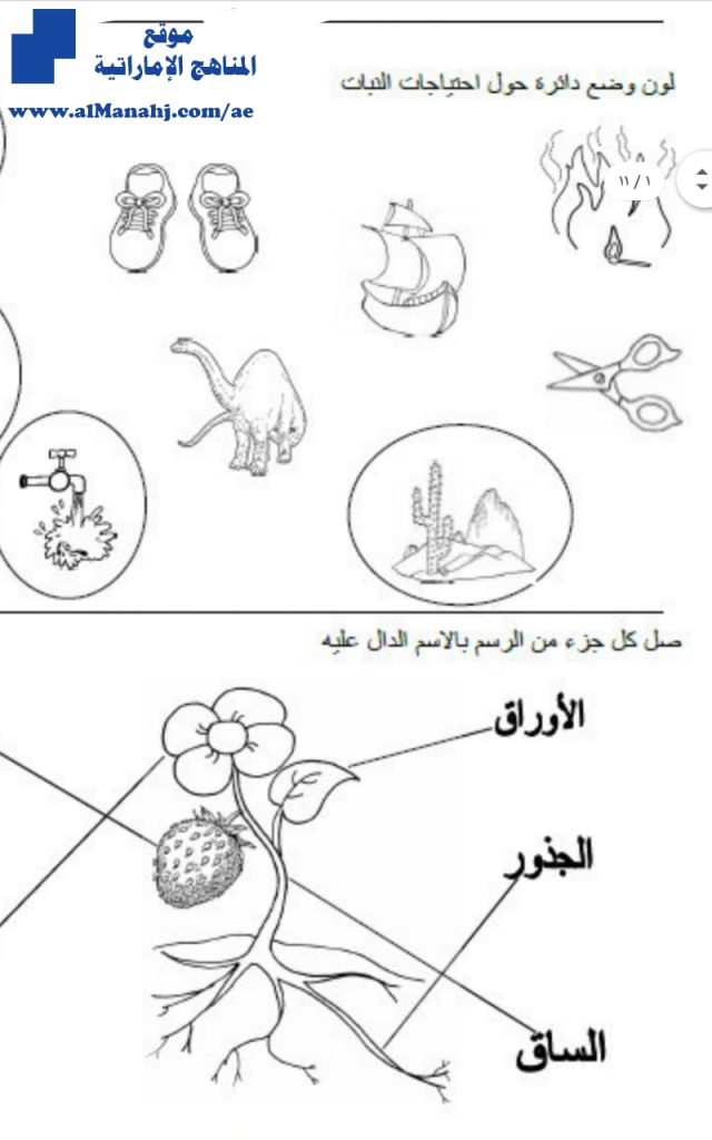 ورقة عمل ملخص احتياجات وأجزاء النيات, (علوم) KG2