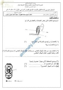 اختبار تجريبي للامتحان النهائي نموذج أول (علوم) السابع