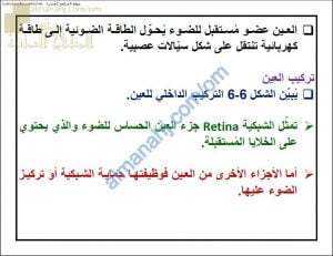 ملخص شرح درس العين مع حل الأنشطة (أحياء) التاسع