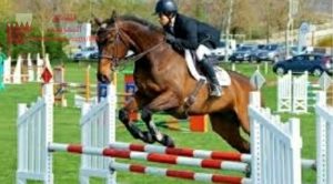 حل الاختبار الالكتروني