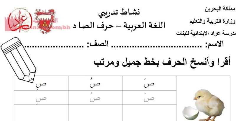 نشاط تدريبي حرف الصاد (لغة عربية) الأول