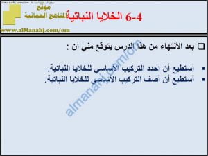 ملخص شرح درس الخلايا النباتية مع حل الأنشطة (علوم) السابع