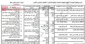 شرح قصيدة القبرة وابنها