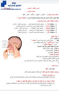 أوراق عمل درس الحواس, (علوم) العاشر العام