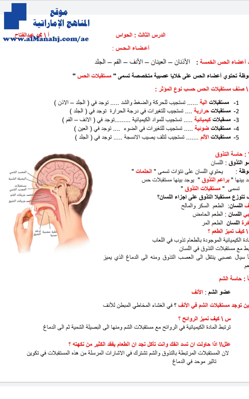 أوراق عمل درس الحواس, (علوم) العاشر العام