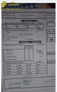 امتحان نهاية الفصز الأول