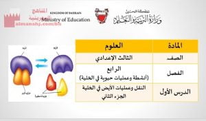 عرض بوربوينت لدرس النقل وعمليات الأيض في الخلية(الجزء الثاني)