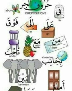 ورقة عمل في حروف الجر (لغة انجليزية) الثاني