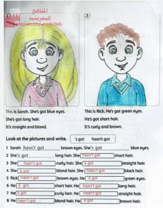 حل نشاط اللغة الإنجليزية