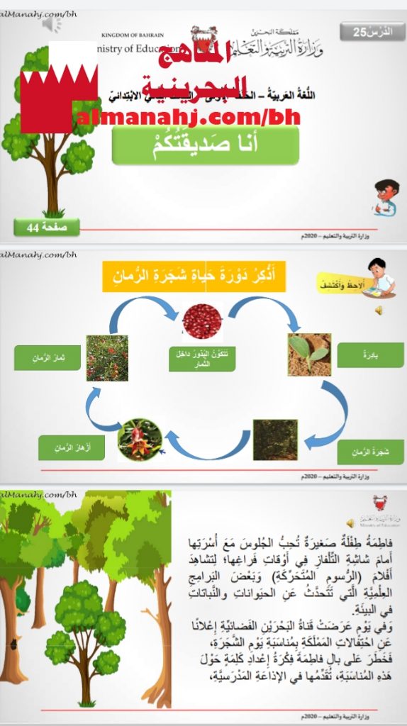 أنا صديقتكم