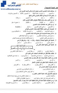 مراجعة شاملة ثانية للفصل الأول 6 صفحات, (علوم) العاشر العام