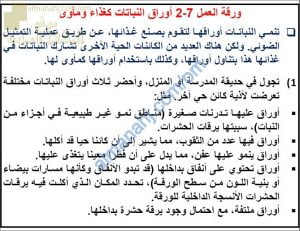 ورقة عمل وتدريبات عن أوراق النباتات كغذاء ومأوى مع الحل (أحياء) التاسع