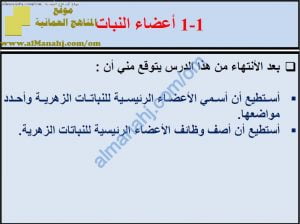 ملخص شرح درس أعضاء النبات مع حل الأنشطة (علوم) السابع