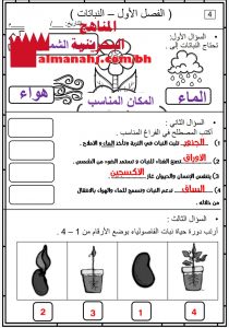 الإجابة النموذجية لأسئلة (الفصل الأول النباتات)