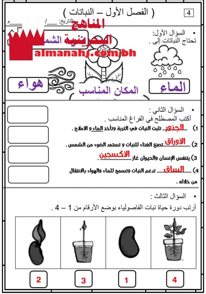 الإجابة النموذجية لأسئلة (الفصل الأول النباتات)