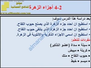 ملخص شرح درس أجزاء الزهرة مع حل الأنشطة (علوم) الخامس