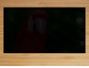 روح الطبيعة, (لغة عربية) الثامن