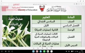 عمليات الحياة في النبات