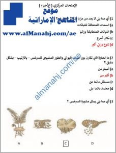 نموذج حل الاختبار المركزي, (علوم) الحادي عشر المتقدم