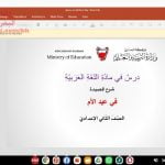 شرح قصيدة الأم