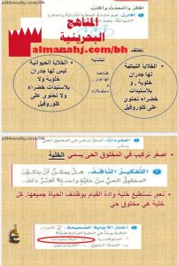 أسئلة وإجابات كتاب الطالب