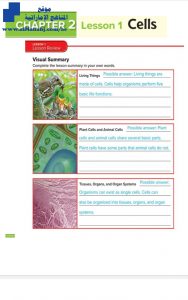 تلخيص علوم TEST PREP LESSON REVIEWS Term 1 منهج انكليزي, منهج انجليزي (علوم) الرابع